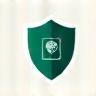 Safety Shield Icon
